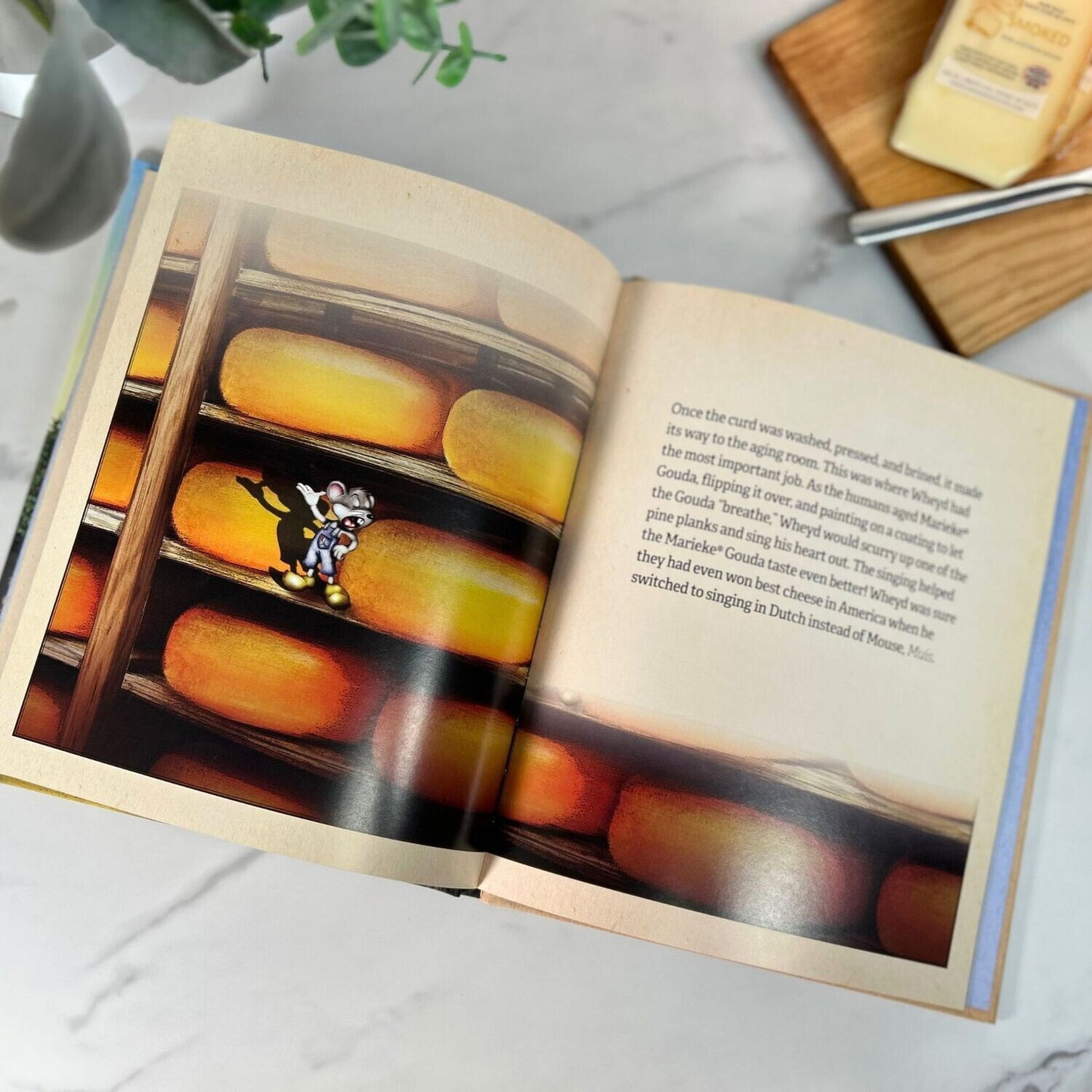 Wheyd's Grate Adventure Children's Book